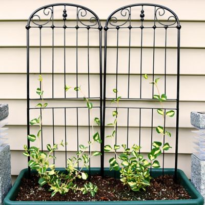 Image showing  32 in. Metal Wire Traditional Garden Trellis for Climbing Plants and Flowers, Black, 2 pc.