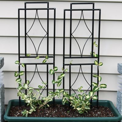 Image showing  30 in. x 8 in. Contemporary Garden Trellis Set