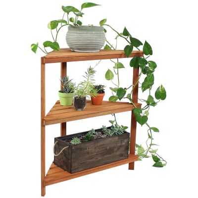 Sunnydaze Decor 20 lb. Capacity Wood Meranti Indoor/Outdoor Corner Plant Stand, Teak Finish