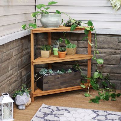 Image showing  Meranti Wood with Teak Oil Finish 3-Tiered Corner Flower Plant Stand Shelf Display - 36 in. - Brown