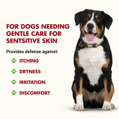 Image showing  K9 Itch and Allergy Support Skin and Coat Supplement for Dogs, Pot Roast Flavor, 32 oz.