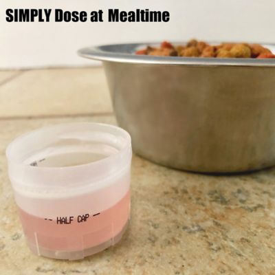 Image showing  Feline Itch and Allergy Support Seafood Flavor Formula for Cats, 8 oz.