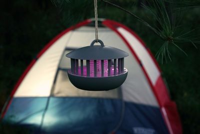 Image showing  Portable Mosquito Zapper and Accent Light