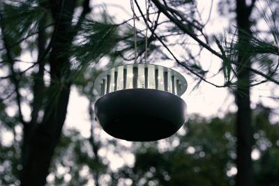 Image showing  Portable Mosquito Zapper and Accent Light