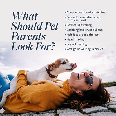 Image showing  Ear Therapy Cleanser for Dogs and Cats, 4 oz.