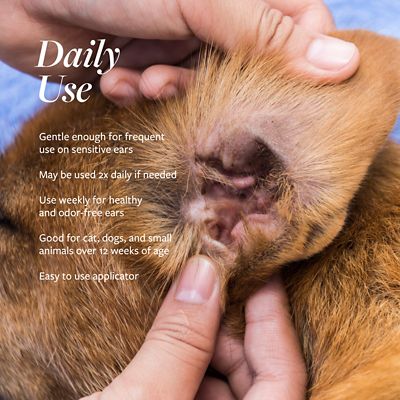 Image showing 5 th Veterinary Formula Ear Therapy Cleanser for Dogs and Cats, 4 oz.