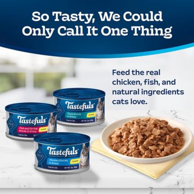 Image showing  All Life Stages Flaked Tuna, Chicken and Fish in Gravy Wet Cat Food Variety pk., 3 oz., Pack of 12 Cans