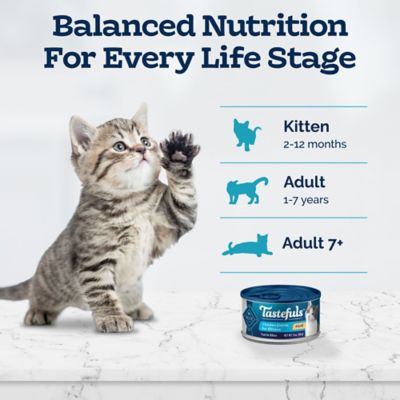 Image showing 7 th Blue Buffalo Tastefuls Kitten Natural Chicken Pate Wet Cat Food, 3 oz. Can, Pack of 6