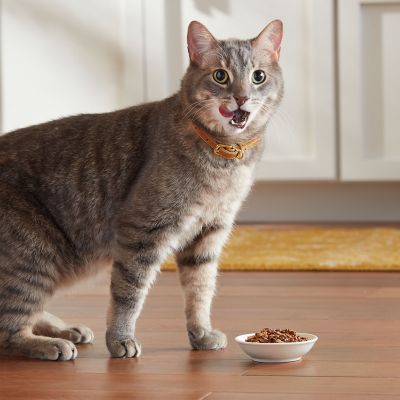 Image showing  All Life Stages Tender Poultry and Beef Favorites in Sauce Wet Cat Food Variety pk., 2.75 oz., Pack of 24 Cups