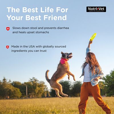 Image showing 5 th Nutri-Vet Anti-Diarrhea Liquid Digestive Supplement for Dogs, 4 oz.