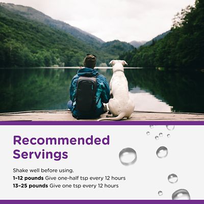 Image showing 6 th Nutri-Vet Anti-Diarrhea Liquid Digestive Supplement for Dogs, 4 oz.