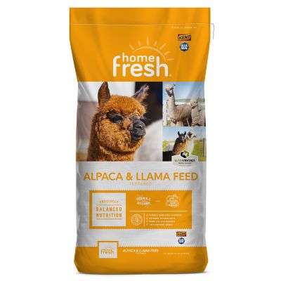 Kent Blue Seal Home Fresh Alpaca and Llama Crunch Feed, 50 lb. Bag