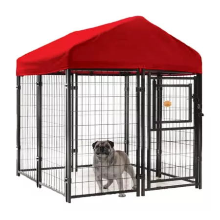 KennelMaster 52 in x 4 ft x 4 ft Welded Wire Dog Kennel Pet Exercise Pens