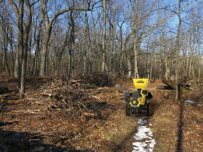Image showing  3 in. Diameter 224cc Gas Powered Portable Chipper Shredder with Collection Bag