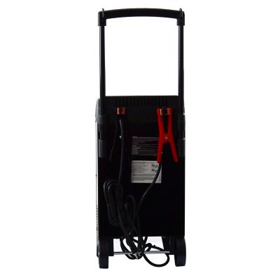 Image showing  2A 6/12V 250/40/6 Wheel Charger with Engine Start, 120V AC Input Voltage