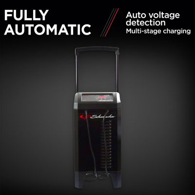 Image showing  2A 6/12V 250/40/6 Wheel Charger with Engine Start, 120V AC Input Voltage