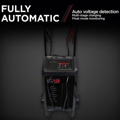 Image showing  125/250A DSR Professional Grade Fully Automatic Wheeled Jump Starter and Battery Charger, 6V/12V