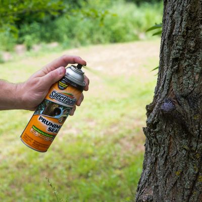 Image showing  13 oz. Pruning Seal