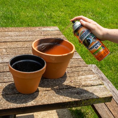 Image showing  13 oz. Pruning Seal