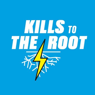 Image showing  1 gal. Groundclear Super Weed and Grass Killer Ready-to-Use Wand