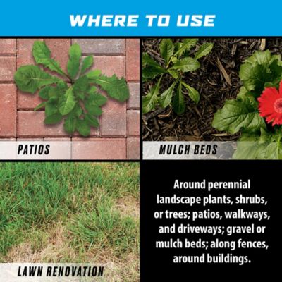 Image showing  1 gal. Groundclear Super Weed and Grass Killer Ready-to-Use Wand