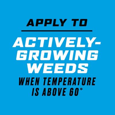 Image showing 5 th Ortho 1 gal. Groundclear Super Weed and Grass Killer Ready-to-Use Wand