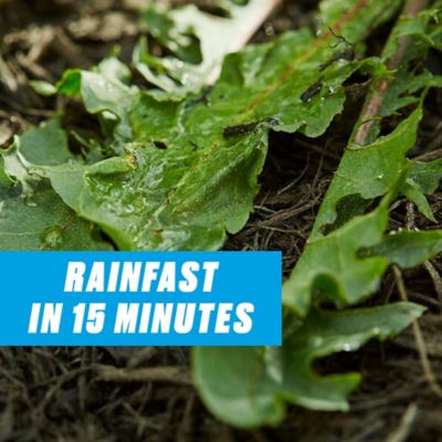 Image showing 8 th Ortho 1 gal. Groundclear Super Weed and Grass Killer Ready-to-Use Wand