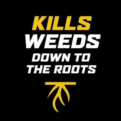 Image showing  1 gal. 1,000 sq. ft. WeedClear Weed Killer for Lawns with Comfort Wand