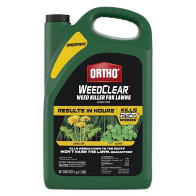 Ortho Weedclear Lawn Weed Killer Base Concentrate, 1 gal., 204810