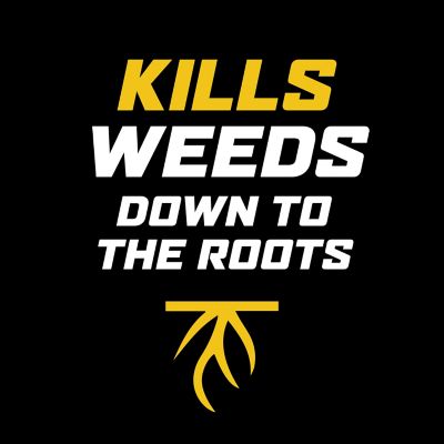 Image showing  1 gal. WeedClear Lawn Weed Killer Base Concentrate