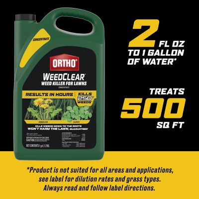 Image showing 6 th Ortho 1 gal. WeedClear Lawn Weed Killer Base Concentrate