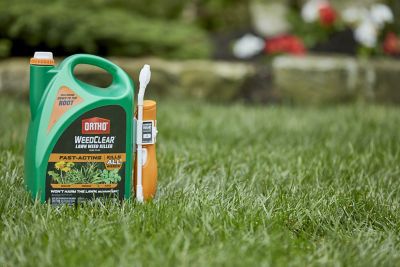 Image showing 5 th Ortho 1.33 gal. WeedClear Lawn Weed Killer North, Ready-to-Use Wand