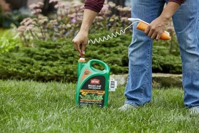 Image showing 6 th Ortho 1.33 gal. WeedClear Lawn Weed Killer North, Ready-to-Use Wand