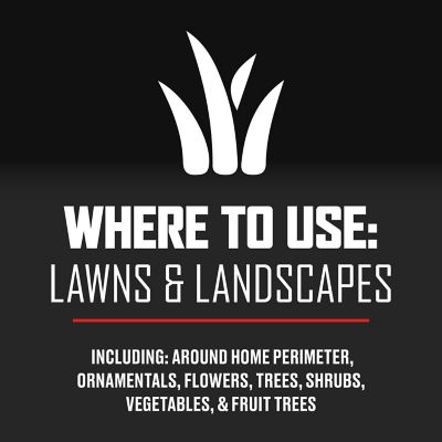 Image showing 6 th Ortho 32 oz. Ready-to-Spray BugClear Insect Killer for Lawns and Landscapes