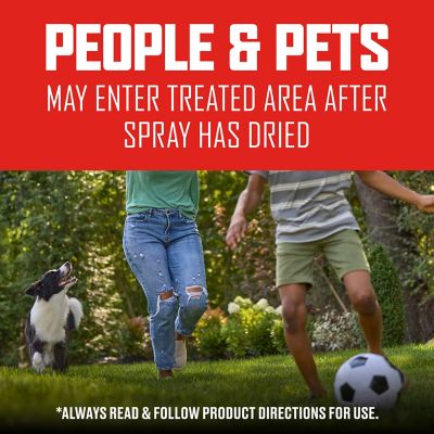 Image showing 9 th Ortho 32 oz. Ready-to-Spray BugClear Insect Killer for Lawns and Landscapes