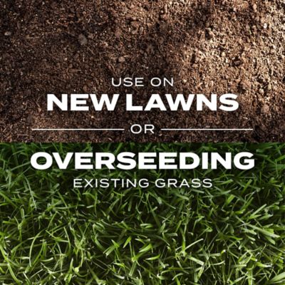 Image showing 5 th Scotts 16 lb. 5,280 sq. ft. Turf Builder Rapid Grass Sun and Shade Mix