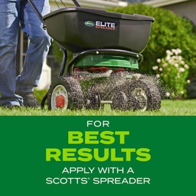 Image showing 6 th Scotts 16 lb. 5,280 sq. ft. Turf Builder Rapid Grass Sun and Shade Mix