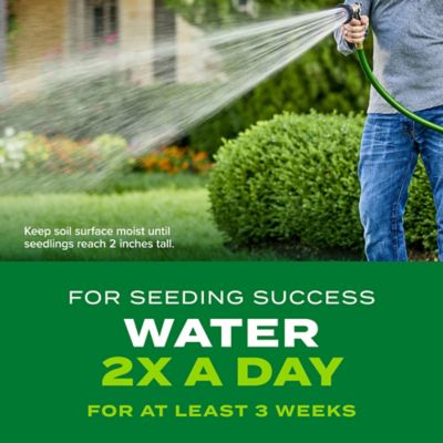 Image showing  5.6 lb. 1,845 sq. ft. Turf Builder Rapid Grass Tall Fescue Mix