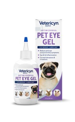 Isathal eye drops beatup for cats