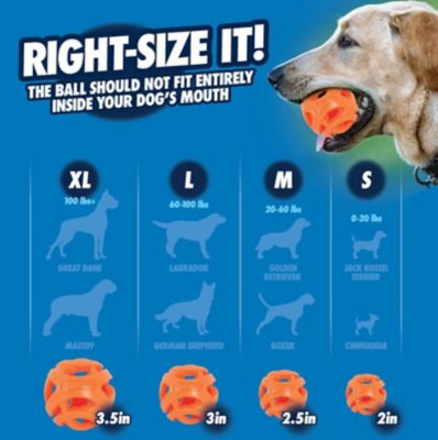 Image showing  Breathe Right Fetch Ball Dog Toys, 2-Pack