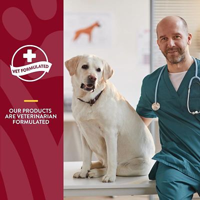 Image showing  Cranberry Relief Powder for Dogs and Cats, 50g