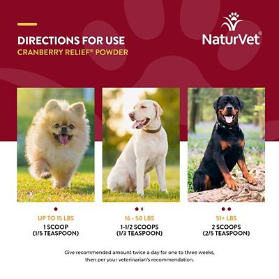 Image showing  Cranberry Relief Powder for Dogs and Cats, 50g