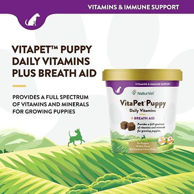 Image showing  VitaPet Puppy Daily Vitamins Plus Breath Aid Soft Chews for Dogs, 70 ct.