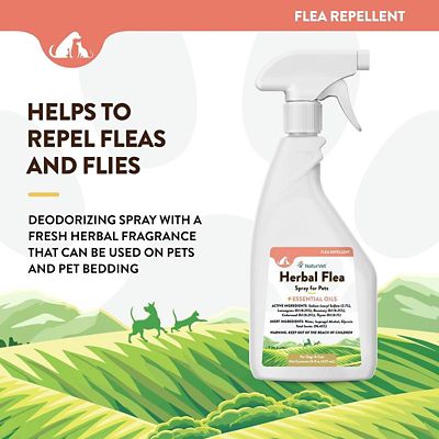Image showing  Herbal Flea Spray for Cats and Dogs, 16 oz.