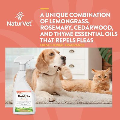Image showing  Herbal Flea Spray for Cats and Dogs, 16 oz.