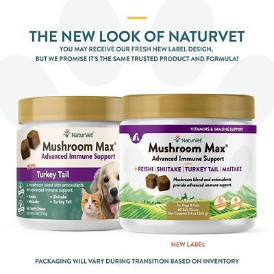 Image showing  Mushroom Max Advanced Immune Support Soft Chews for Dogs and Cats