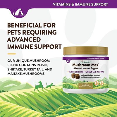Image showing  Mushroom Max Advanced Immune Support Soft Chews for Dogs and Cats
