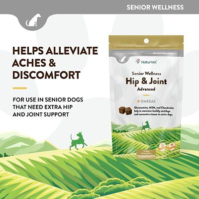 Image showing  Senior Hip and Joint Plus Omegas Advanced Formula Soft Chews for Dogs, 120 ct.