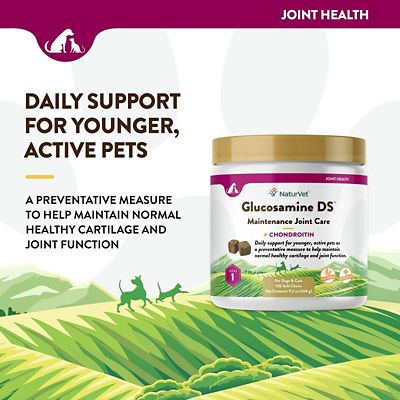 Image showing  Glucosamine DS Soft Chews for Cats and Dogs, Level 1, 120 ct.