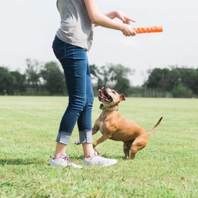Image showing  Chuckit! Breathe Right Fetch Stick Dog Toys
